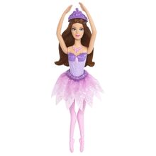 Barbie In The Pink Shoes Merchandise Barbie Movies Wiki Fandom