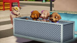 Barbie-puppychase-disneyscreencaps.com-679