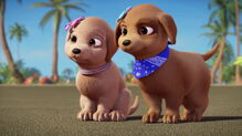 Barbie-puppychase-disneyscreencaps.com-324