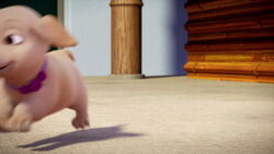 Barbie-puppychase-disneyscreencaps.com-674