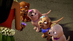 Barbie-puppychase-disneyscreencaps.com-285
