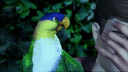 Derek reacts to Felix's talks