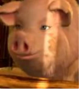 Pig