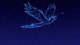 Barbie-puppychase-disneyscreencaps.com-2949
