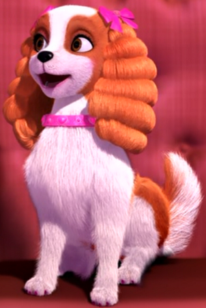 Princess and the pauper dog new arrivals