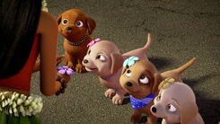 Barbie-puppychase-disneyscreencaps.com-286