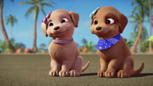 Barbie-puppychase-disneyscreencaps.com-326