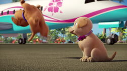 Barbie-puppychase-disneyscreencaps.com-299