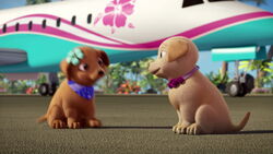 Barbie-puppychase-disneyscreencaps.com-298
