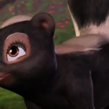 barbie swan lake skunk