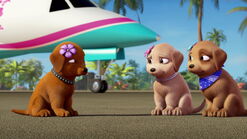 Barbie-puppychase-disneyscreencaps.com-344