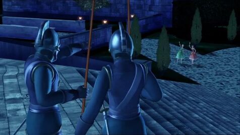 Rewena-guard-croquet3
