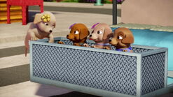 Barbie-puppychase-disneyscreencaps.com-680