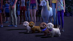 Barbie-puppychase-disneyscreencaps.com-7454