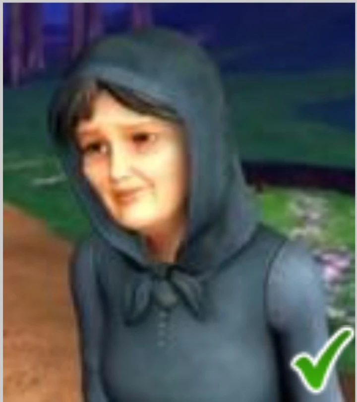 Old Woman | Barbie Movies Wiki | Fandom