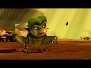 About to eat a fly