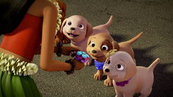 Barbie-puppychase-disneyscreencaps.com-282