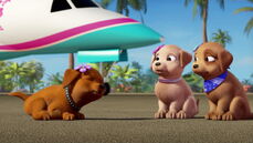 Barbie-puppychase-disneyscreencaps.com-336