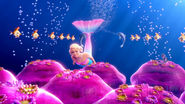 Lumina Swimming