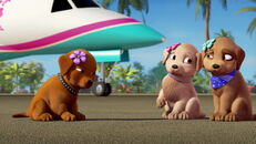 Barbie-puppychase-disneyscreencaps.com-338