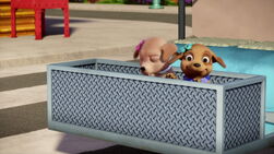 Barbie-puppychase-disneyscreencaps.com-677