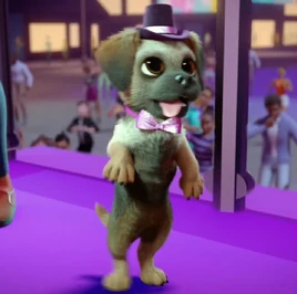 Big City, Big Dreams