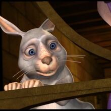 rabbit barbie