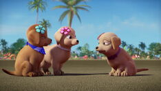 Barbie-puppychase-disneyscreencaps.com-311