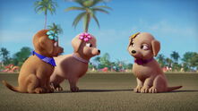 Barbie-puppychase-disneyscreencaps.com-308