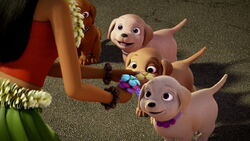 Barbie-puppychase-disneyscreencaps.com-281