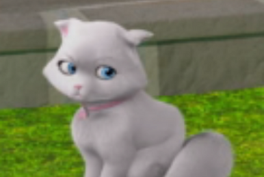 Barbie popcorn pet cheap