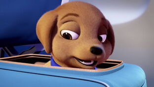 Barbie-puppychase-disneyscreencaps.com-133