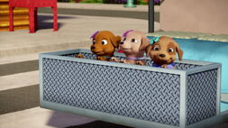 Barbie-puppychase-disneyscreencaps.com-678