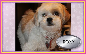 Roxy