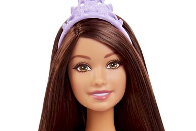 DMM06 Assortment Barbie Wiki Fandom