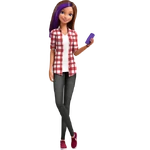 skipper dreamhouse adventures