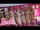 Barbie The Dream Closet