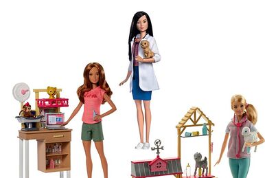 Barbie fhr09 store