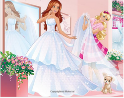 Barbie wedding party discount