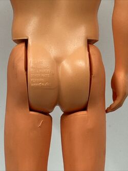 Ken store doll genitals