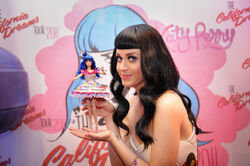 Katy Perry Barbie Doll Barbie Wiki Fandom