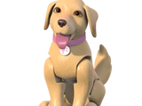 Taffy