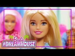 Fashionista 153 discount