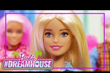 Barbie Doll and Accessory #165