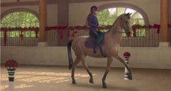 Skipper 2.png (717 kio)