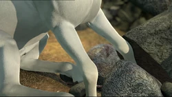 Barbie-Her-Sisters-in-A-Pony-Tale-barbie-movies-35833254-1024-576.png (1 018 kio)