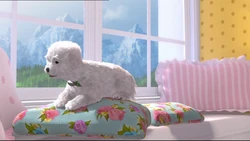 Barbie-Her-Sisters-in-A-Pony-Tale-barbie-movies-35833027-1024-576.png (854 kio)