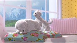 Barbie-Her-Sisters-in-A-Pony-Tale-barbie-movies-35833026-1024-576.png (840 kio)