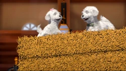 Barbie-Her-Sisters-in-A-Pony-Tale-barbie-movies-35833018-1024-576.png (1,03 Mio)