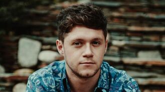 Niall-horan-flicker-kXNC--620x349@abc